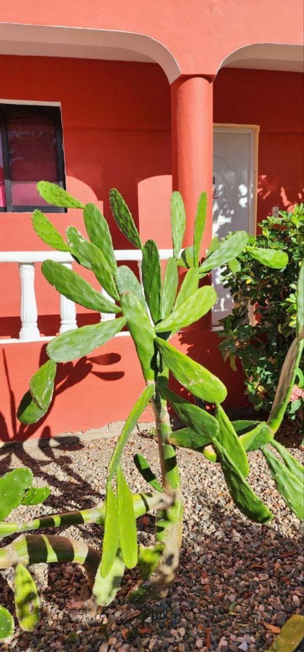 Villa Kiki Ensenada بونتا روسيا المظهر الخارجي الصورة