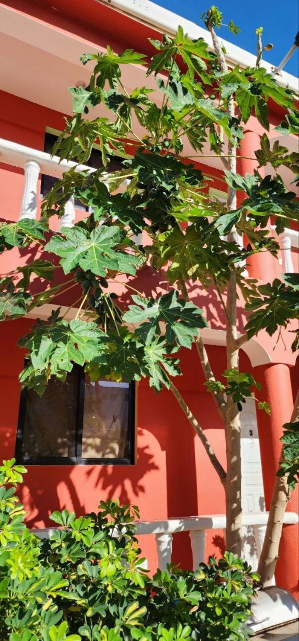 Villa Kiki Ensenada بونتا روسيا المظهر الخارجي الصورة